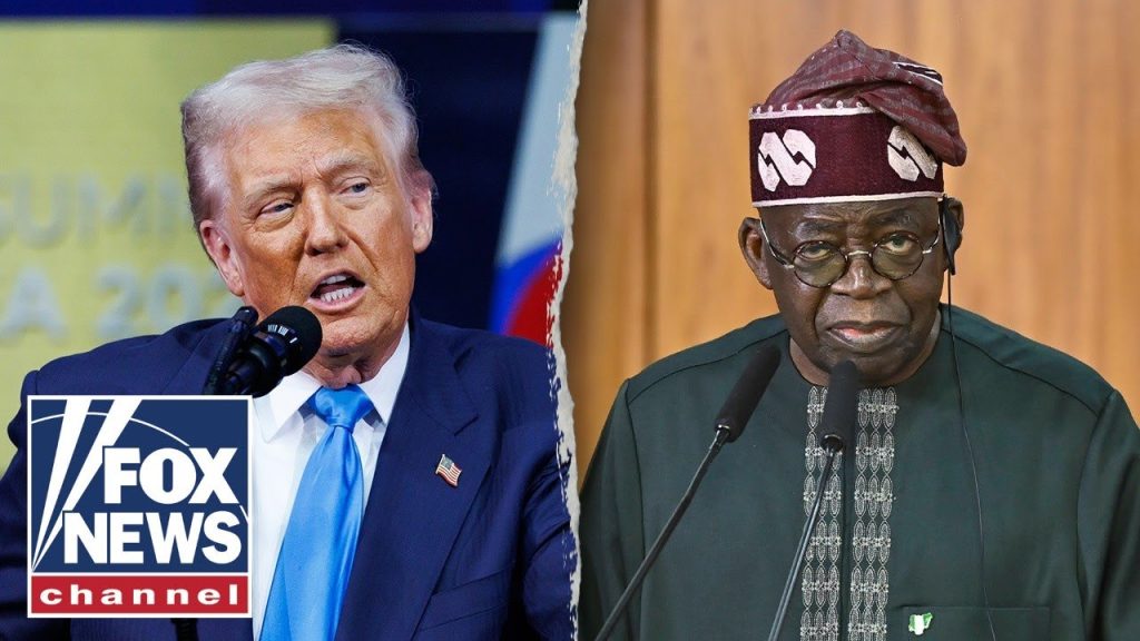 JUST IN: Nigeria’s leader hits back as Trump eyes ‘VICIOUS’ military response