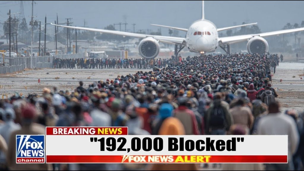 192,000 Somalis ‘IN PANIC’… as Trump’s “SCORCHED EARTH” DEPORTATIONS Begin NOW