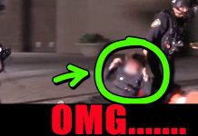 This ICE street brawl was absolutely wild… This ICE street brawl was absolutely wild...