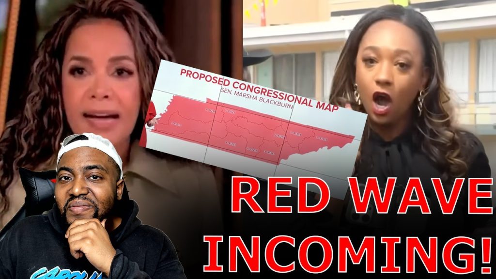 Liberal Media PANICS Over More Red States WIPING OUT Black Democrats  After Democrat Stunt Fails